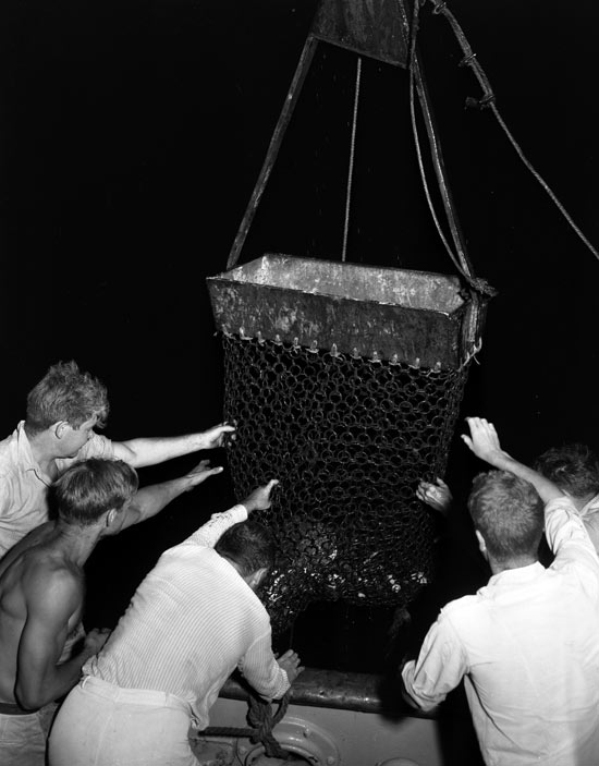 The chain-bag dredge, shown bringing its cargo aboard Atlantis, has been an important tool for marine biologists and geologists. Maurice Ewing is at left. (WHOI Archives Photo)